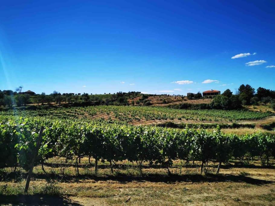 Quinta Da Eira Douro Valley Fermentoes  Exterior photo