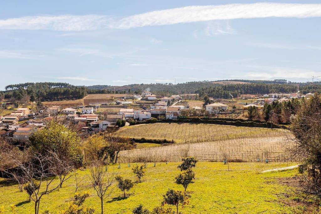 Quinta Da Eira Douro Valley Fermentoes  Exterior photo