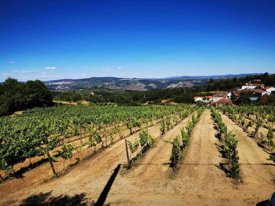 Quinta Da Eira Douro Valley Fermentoes  Exterior photo