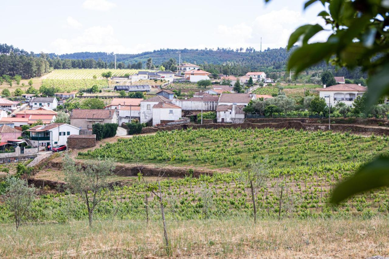 Quinta Da Eira Douro Valley Fermentoes  Exterior photo
