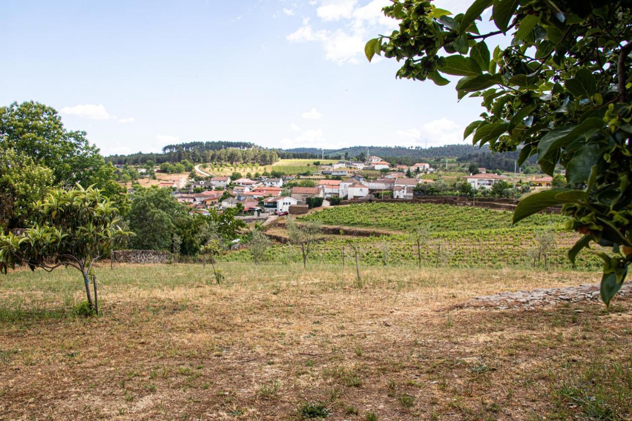 Quinta Da Eira Douro Valley Fermentoes  Exterior photo