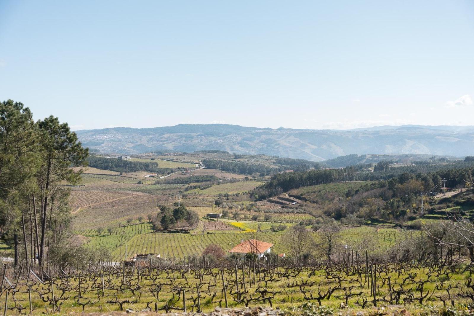 Quinta Da Eira Douro Valley Fermentoes  Exterior photo
